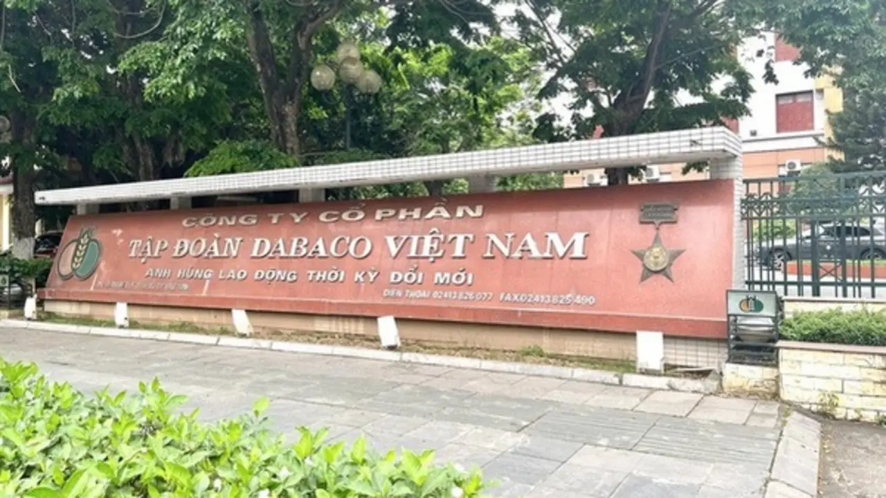 Dabaco lãi giảm sâu, chi phí đầu vào và giá lợn hơi tạo áp lực