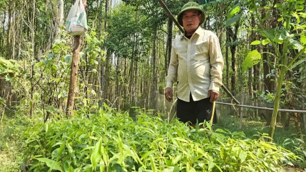 Dấn thân vào 'cửa tử'