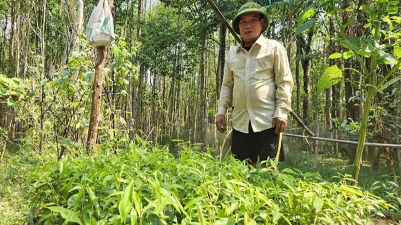 Dấn thân vào 'cửa tử'