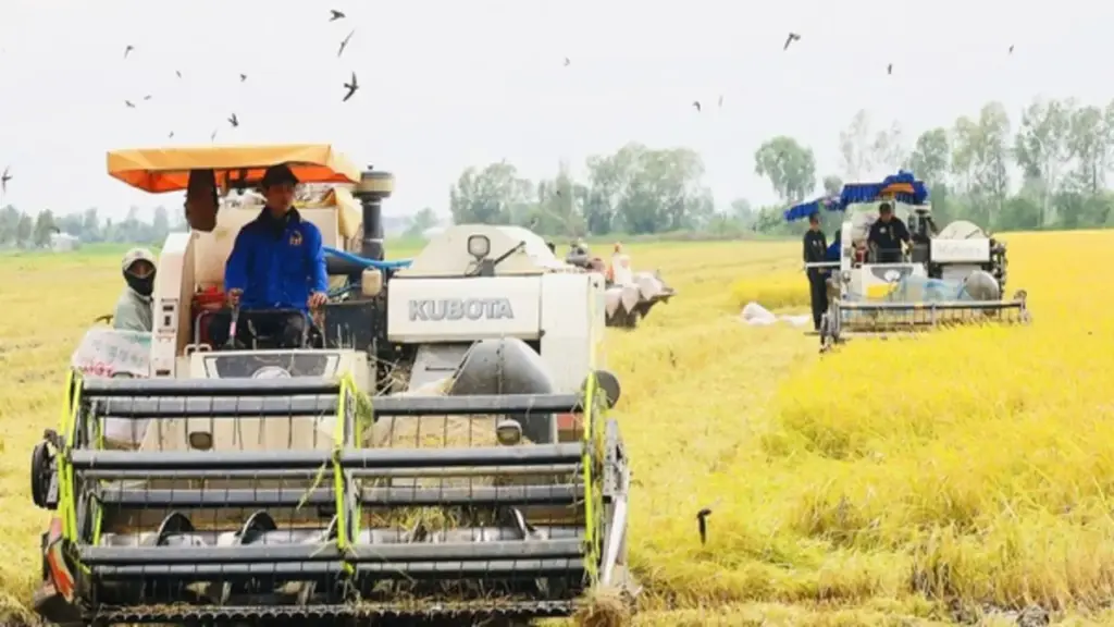 ĐBSCL đang đối diện với nhiều nghịch lý phát triển