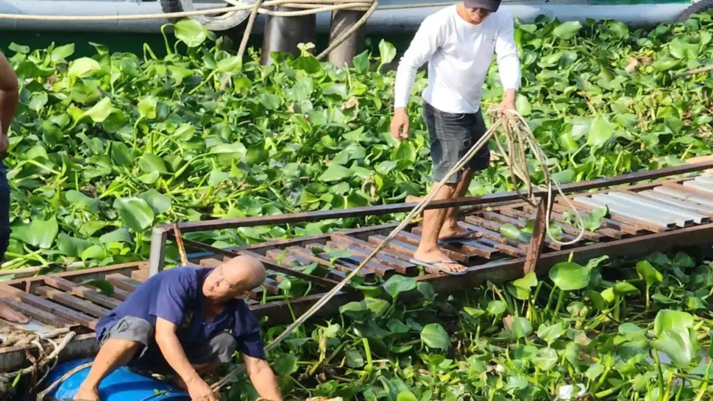 Đi tập thể dục phát hiện thi thể nổi trên sông Tiền