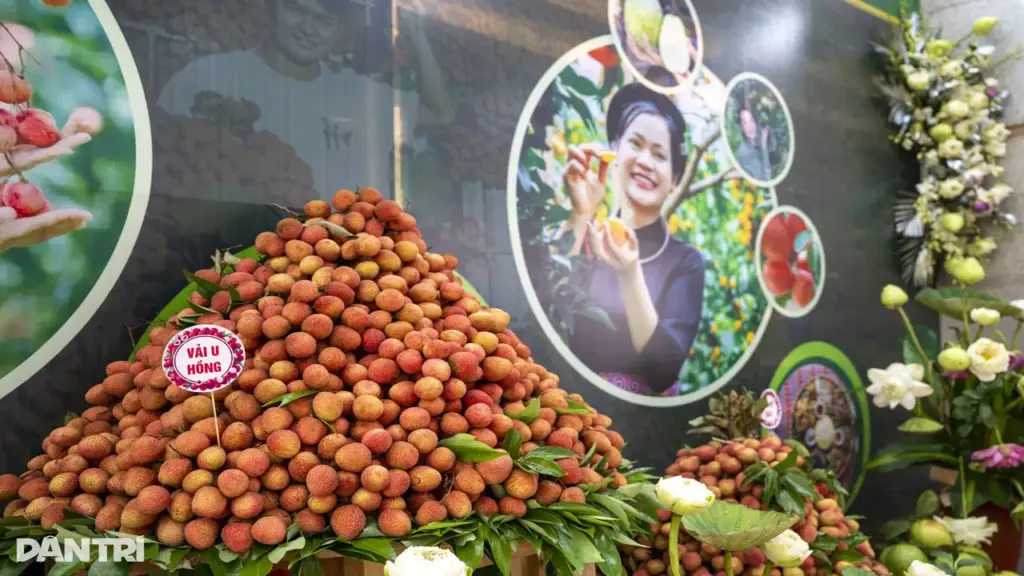 Đi tìm câu trả lời chiến lược cho chất lượng trái vải thiều Bắc Ninh