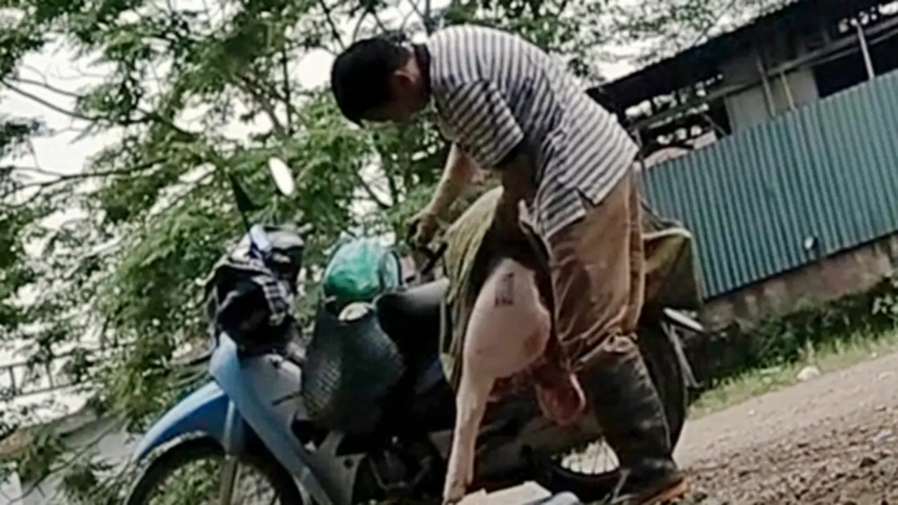 Đình chỉ công tác 2 cán bộ thú y 'nhờ chủ lò mổ đóng dấu kiểm dịch’