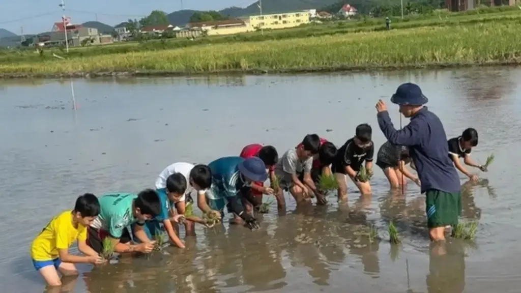 Độc đáo lớp học cấy lúa, bắt ốc cho 'khối nghỉ hè'