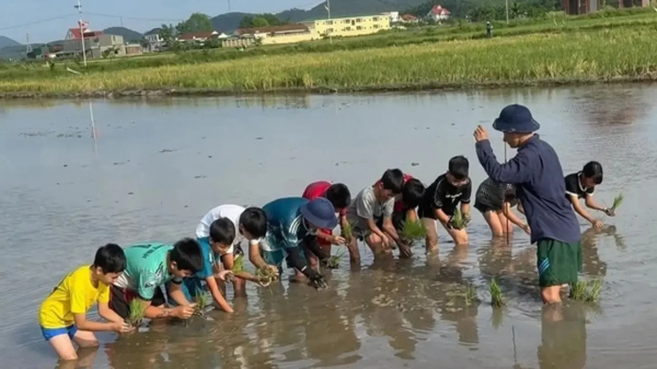 Độc đáo lớp học cấy lúa, bắt ốc cho 'khối nghỉ hè'