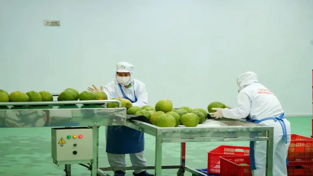 Gạo, hạt điều và loạt nông sản vào Trung Quốc bị kiểm soát chặt từ 1/6