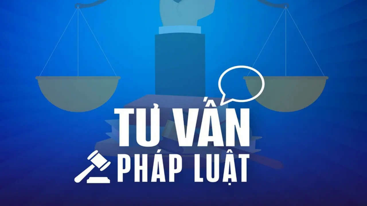 Giấy phép lái xe cấp tại Indonesia, có được lái xe tại Việt Nam không?