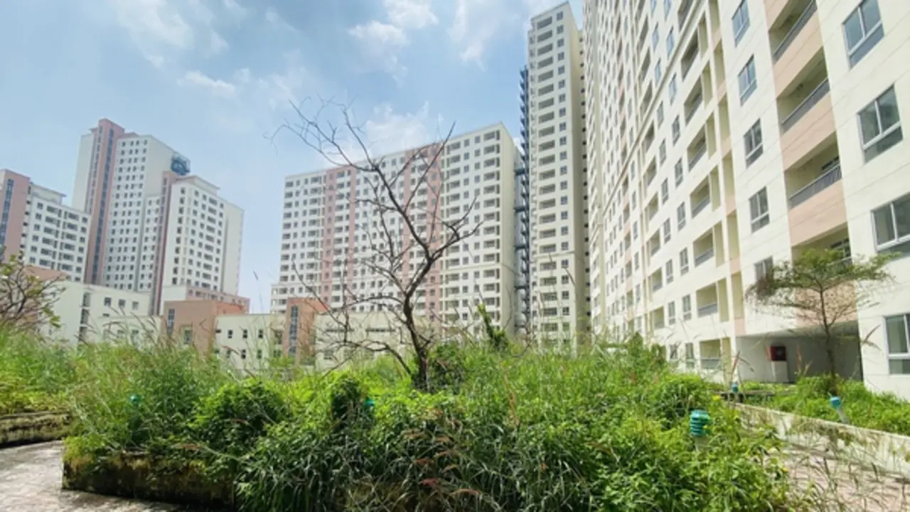 Hạn chế tối đa tình trạng nhà, đất tái định cư bỏ trống