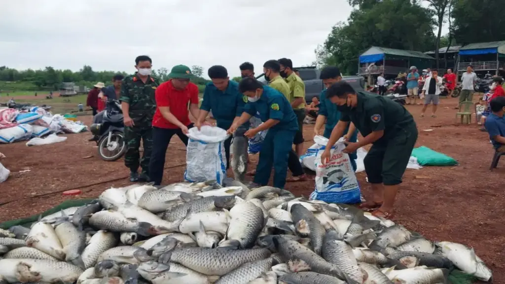 Hơn 100 tấn cá chết ở Đồng Nai