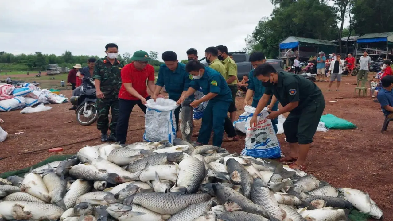 Hơn 100 tấn cá chết ở Đồng Nai