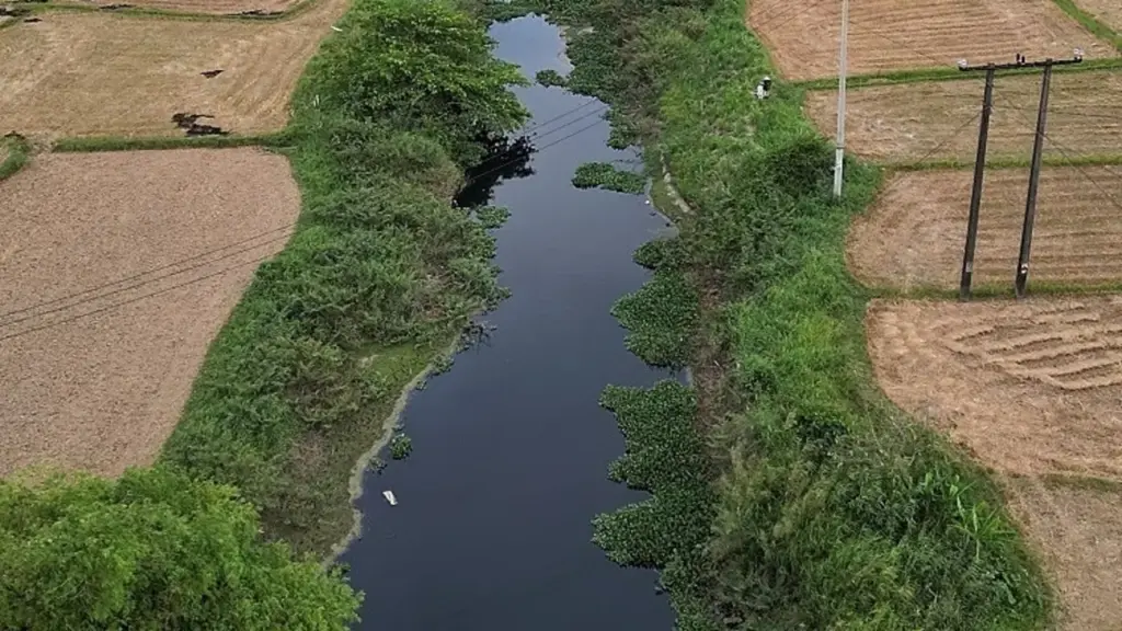 Kênh thủy lợi dài 5 km đen ngòm vì nước thải công nghiệp