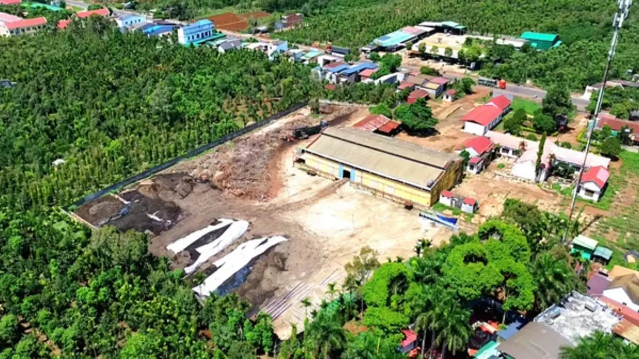 Khách chạy mất dép vì ruồi 'như ong vỡ tổ' bủa vây quán nước ở Đắk Lắk