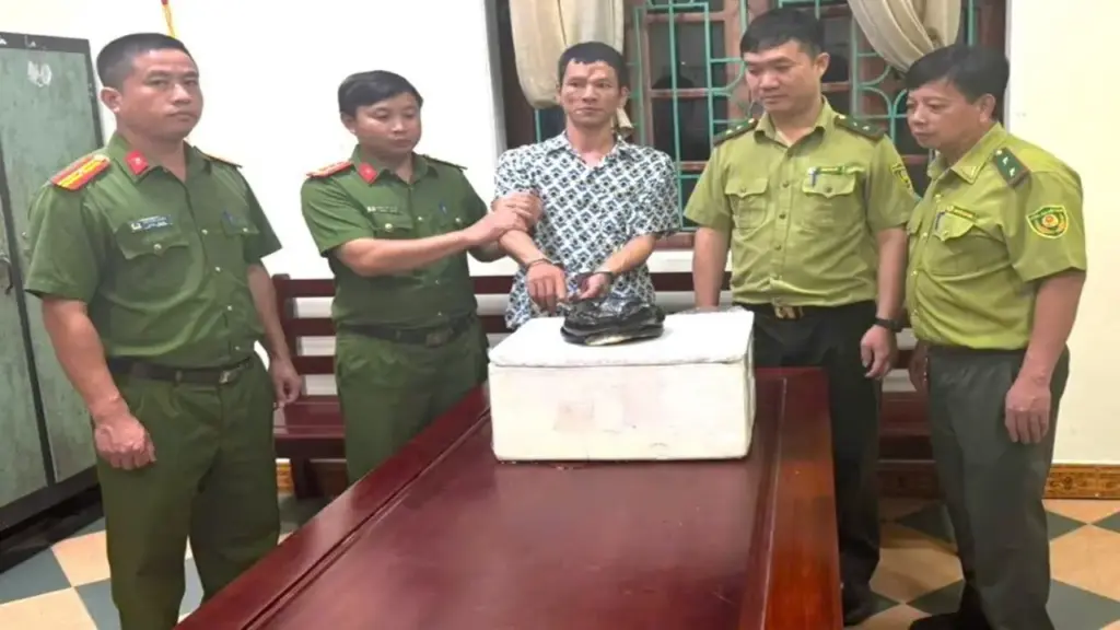 Khởi tố người đàn ông mua rắn hổ chúa trên mạng về sử dụng