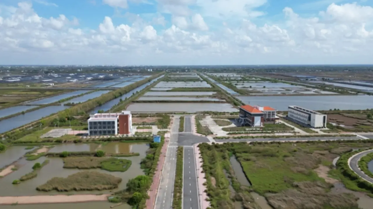Khu tôm công nghệ cao 338 tỉ đồng tại Cà Mau bây giờ ra sao?