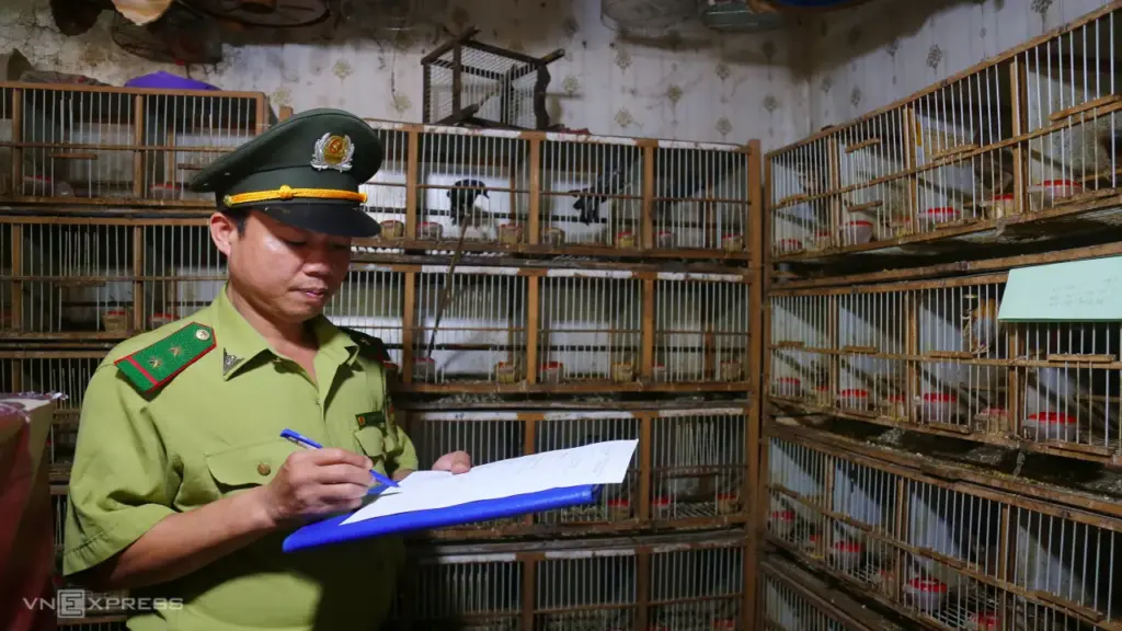 Kiểm tra bất ngờ cửa hàng lớn ở Hà Nội, phát hiện gần 500 'chim trời' trôi nổi