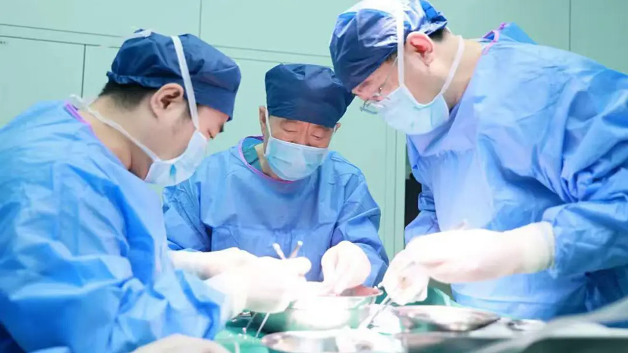 Lần đầu ghép cùng lúc gan và thận lợn biến đổi gene cho người