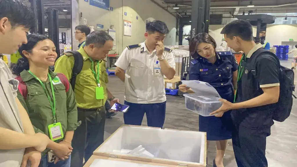 Lô rùa quý hiếm hồi hương từ Hàn Quốc về Việt Nam