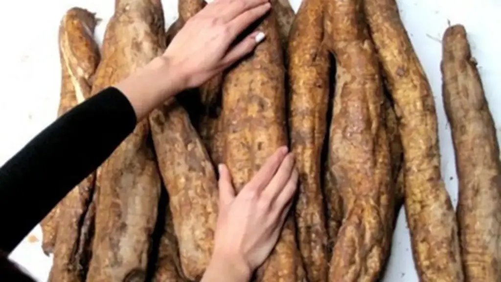 Loại củ Việt được ví như "nhân sâm người nghèo", tốt cho sức khỏe từ trong ra ngoài