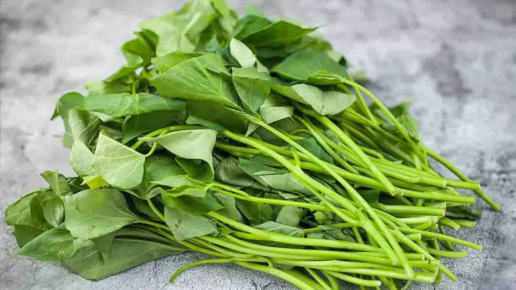 Loại rau quen thuộc của người Việt được giới y khoa ví như 'siêu thực phẩm'
