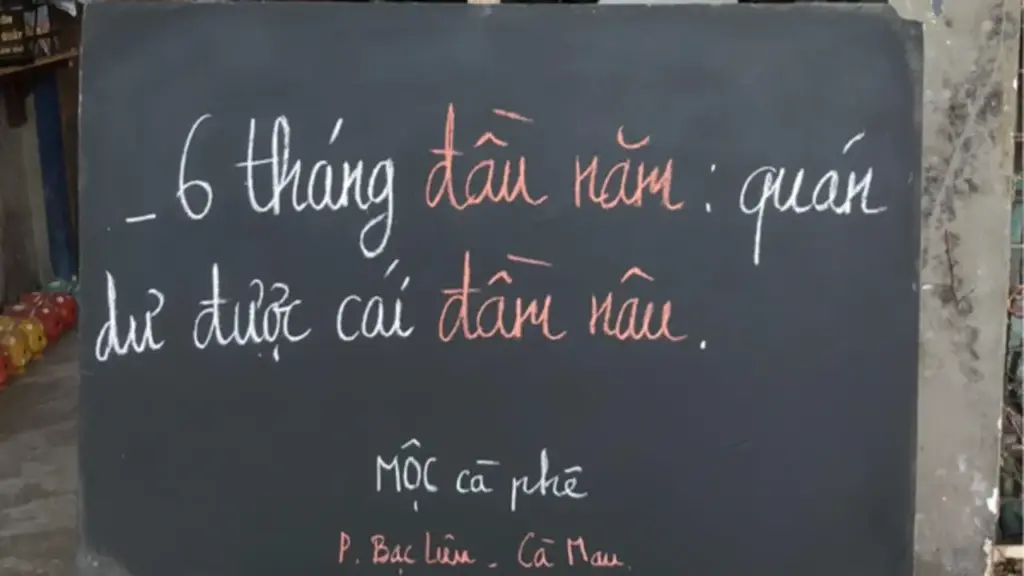 Loạt quán cà phê độc lạ từng gây sốt: Nơi liên tục đổi đời, tiệm đóng cửa đầy tiếc nuối