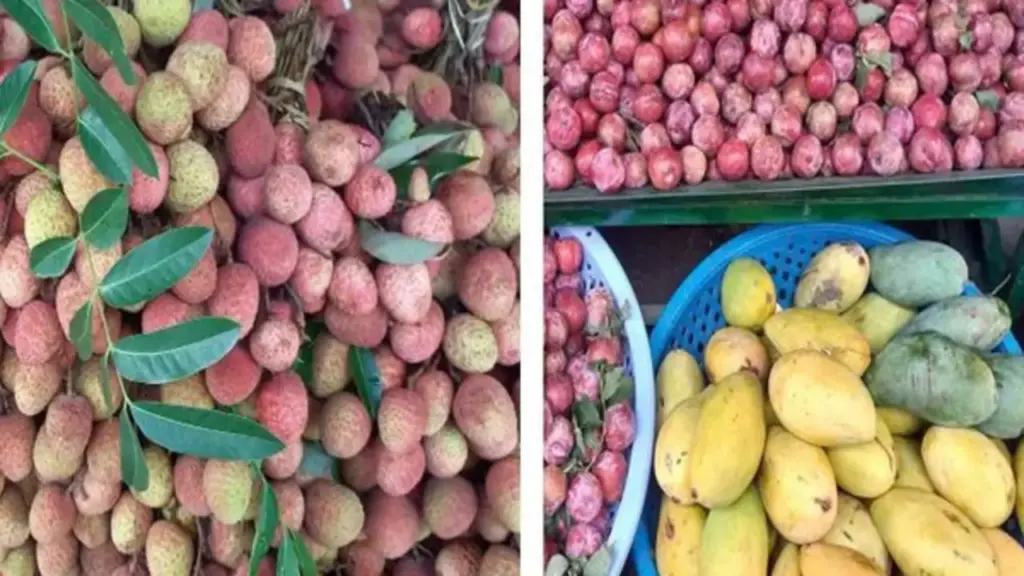 Mê mẩn sầu riêng, mận, vải... nhưng ngại nổi mụn, thực hư thế nào?