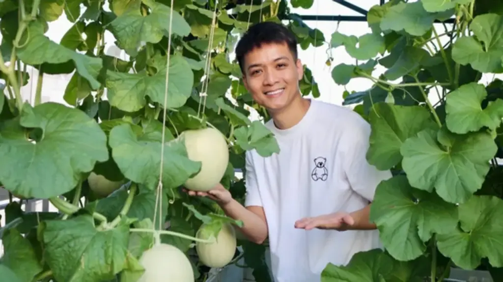 Mê tít khu vườn sân thượng giữa lòng thành phố của ông bố trẻ