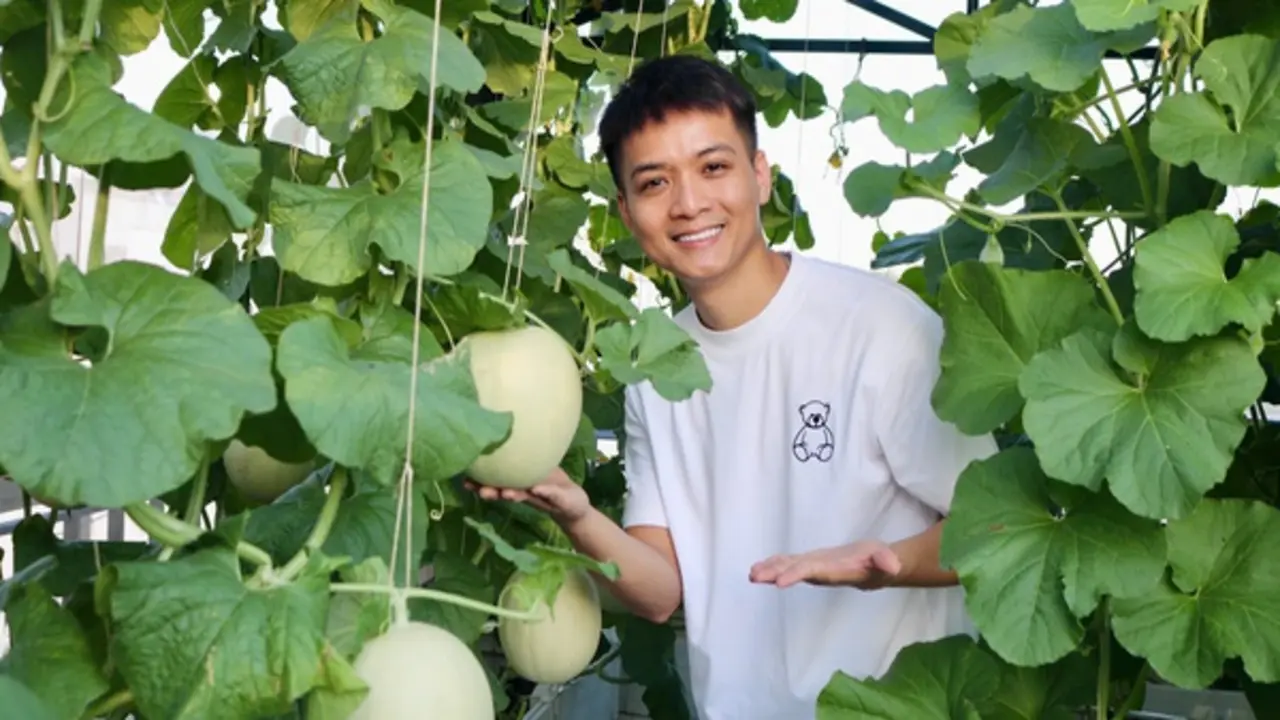 Mê tít khu vườn sân thượng giữa lòng thành phố của ông bố trẻ