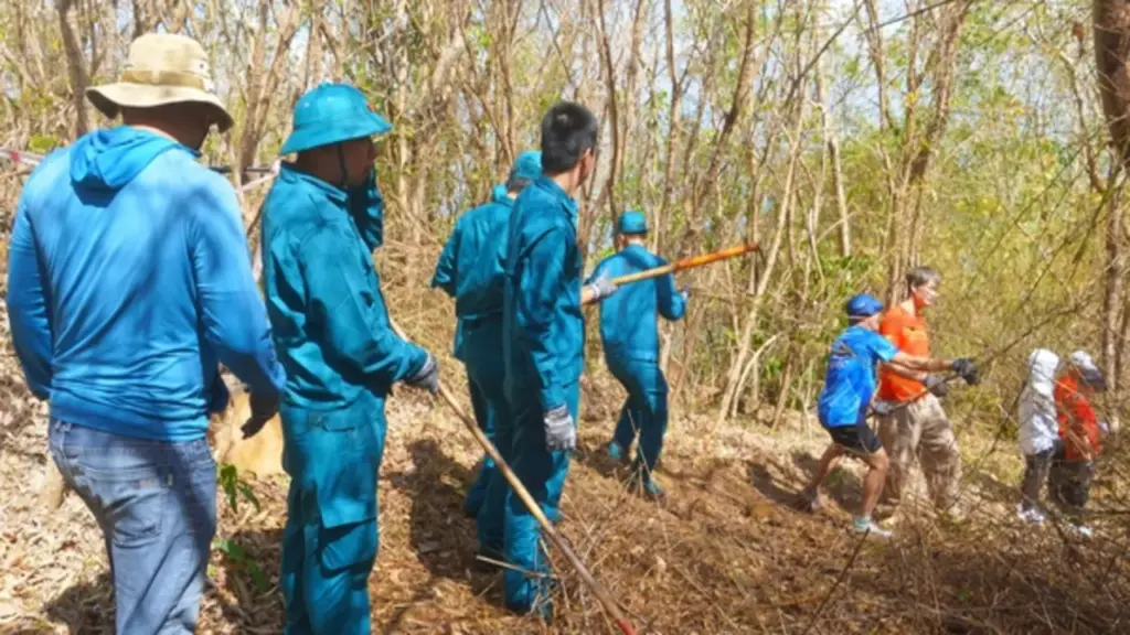 Mở đường xuyên núi Lớn phát triển 'kho vàng' du lịch Vũng Tàu