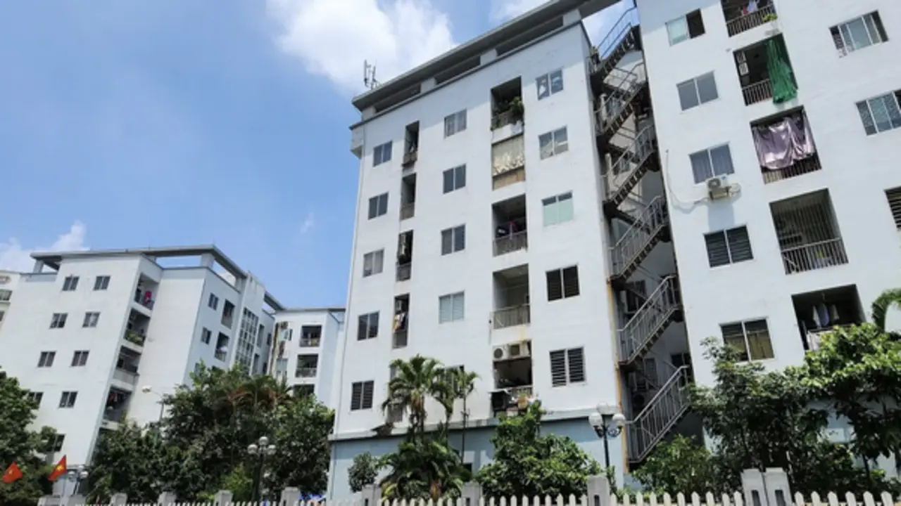 Nhà ở cho thuê cung không đủ cầu
