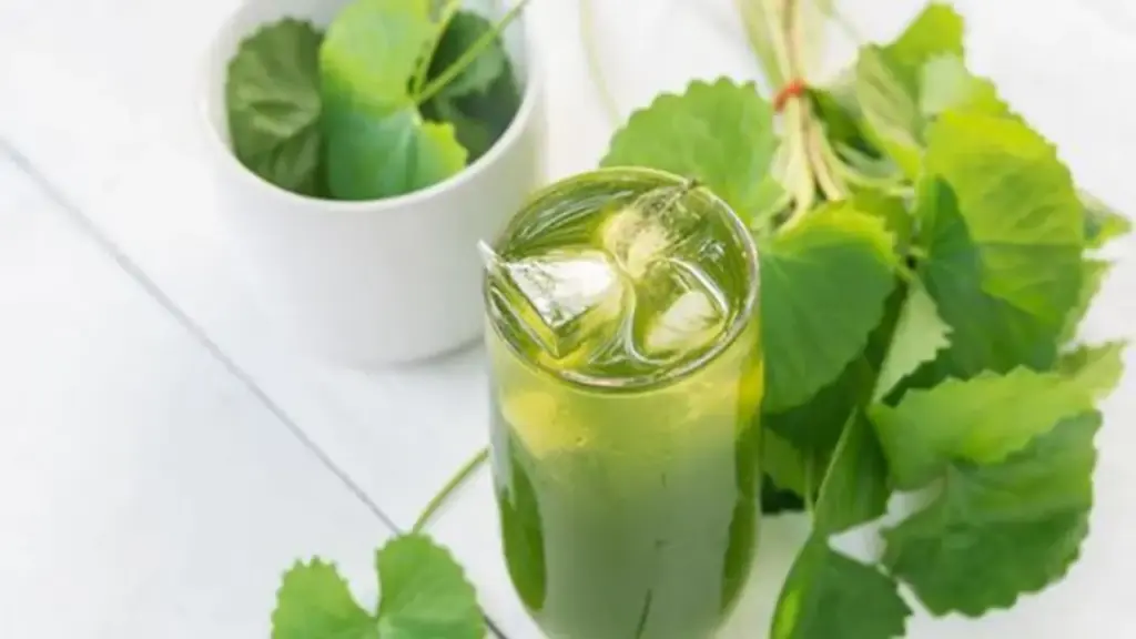 Những người không nên uống nước rau má kẻo "rước hoạ vào thân"