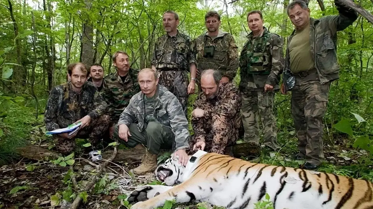 Ông Putin tặng 4 con hổ cho Kazakhstan