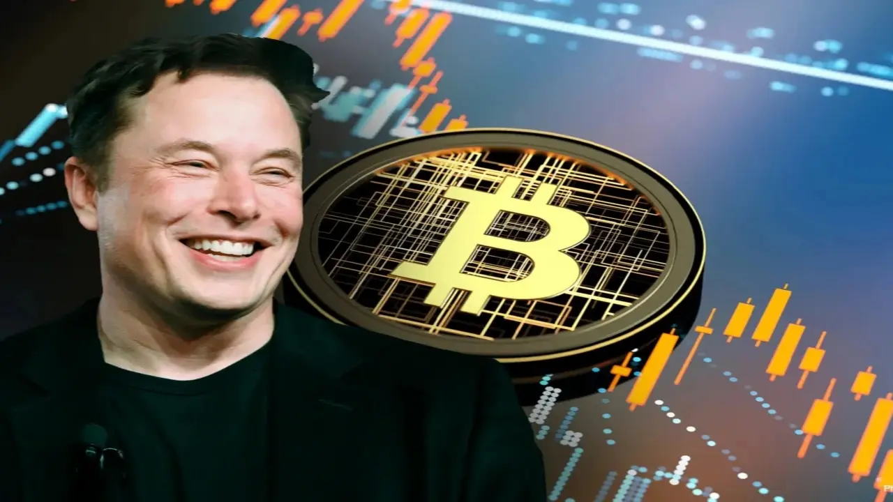 Sáp nhập Tesla - SpaceX: Elon Musk sắp thành “cá voi” bitcoin hơn 2 tỷ USD?