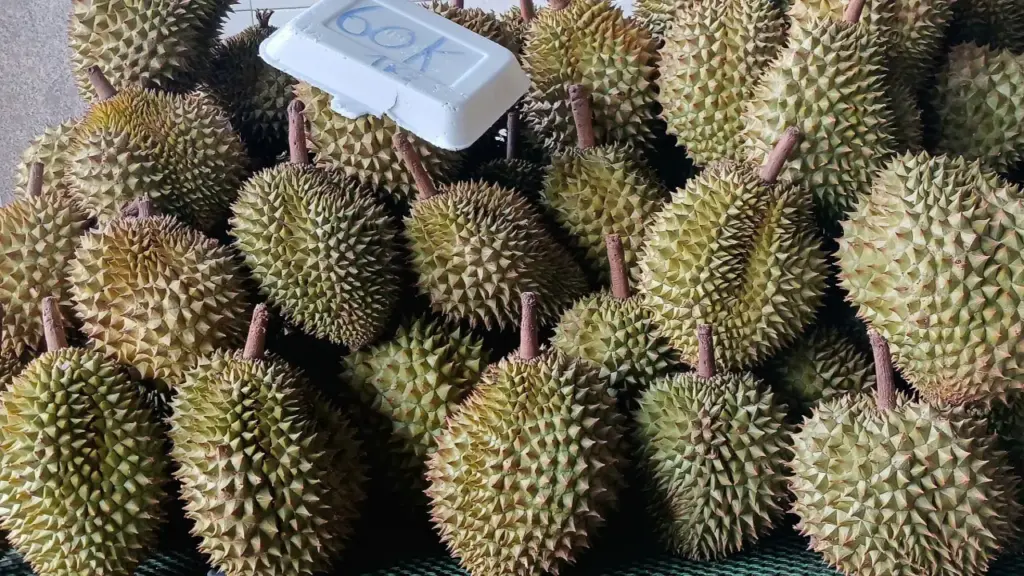 Sầu riêng 'rẻ chưa từng có' ở TP HCM