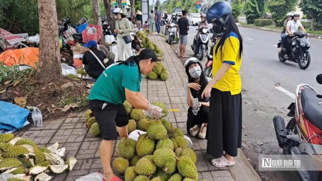 Sầu riêng tại vườn rớt giá, vì sao người tiêu dùng vẫn mua đắt?