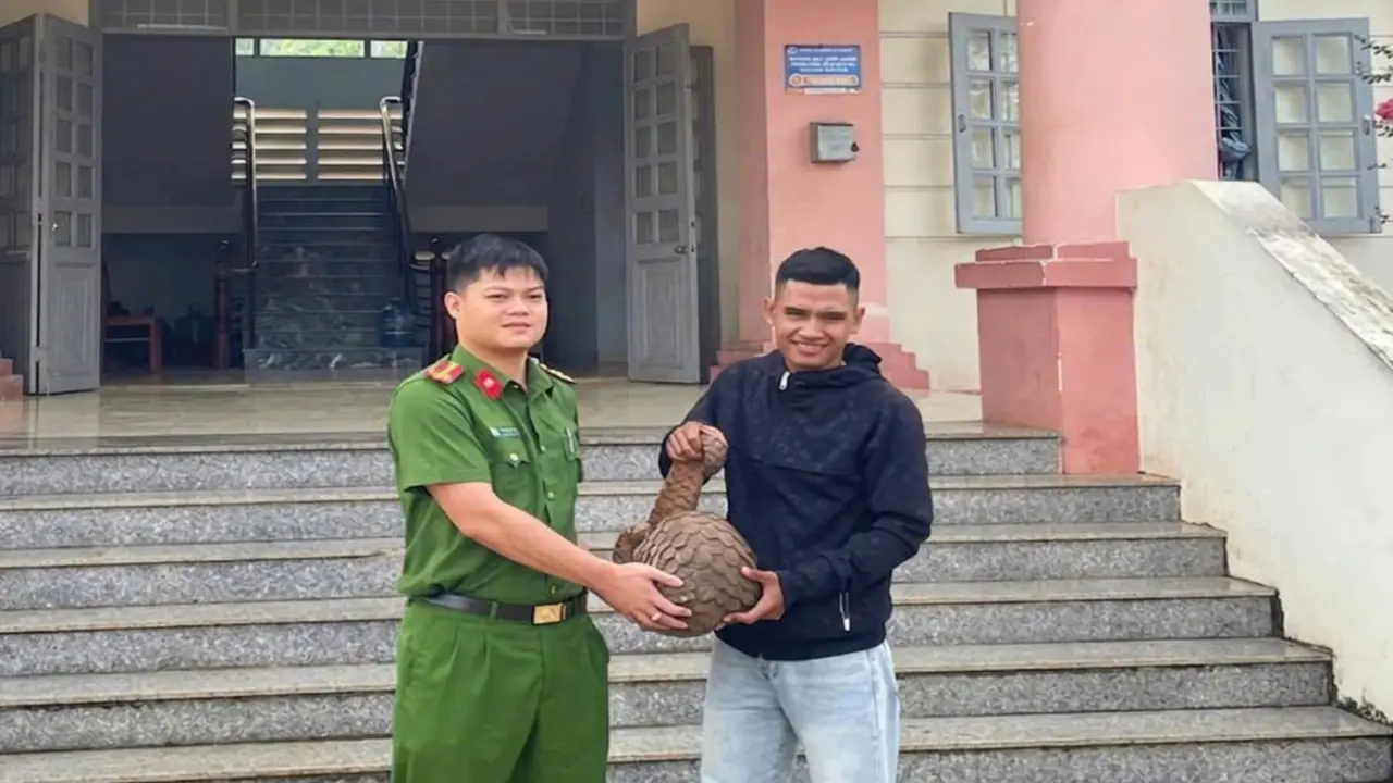 Tê tê Java quý hiếm nặng 9kg lạc vào nhà dân trong đêm