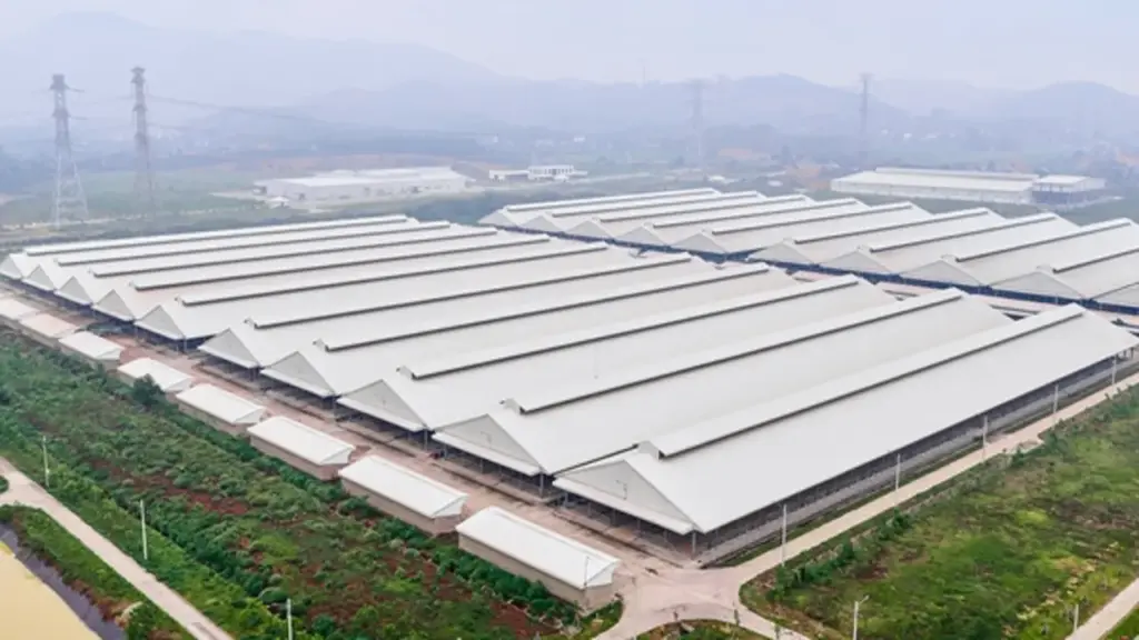 Thịt bò tươi ủ mát Niku-Ichi: Khi chuẩn mực chăn nuôi Nhật bén rễ trên đất Việt