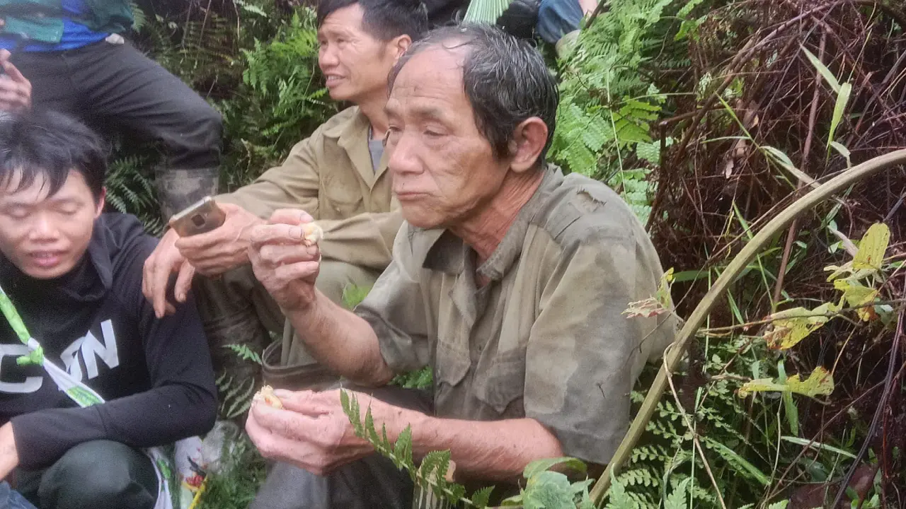 Tìm thấy người đàn ông lạc trong rừng sau 4 ngày