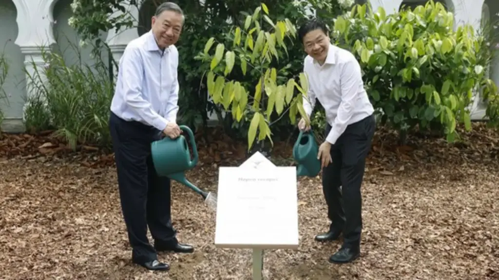 Tổng Bí thư, Chủ tịch nước Tô Lâm và Thủ tướng Lawrence Wong trồng cây tại Vườn Bách thảo Singapore