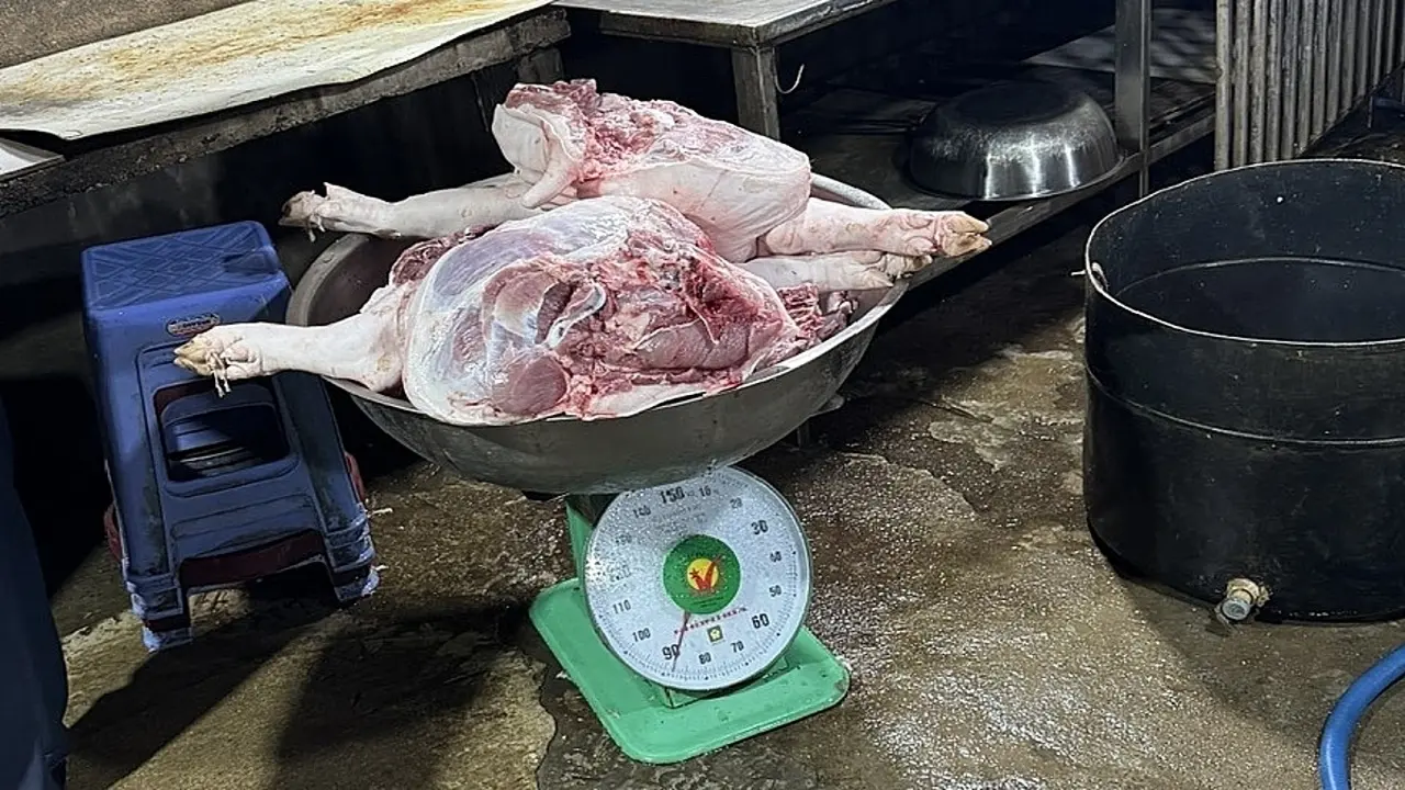 TP HCM chặn 8 tấn thịt heo, gia cầm không kiểm dịch