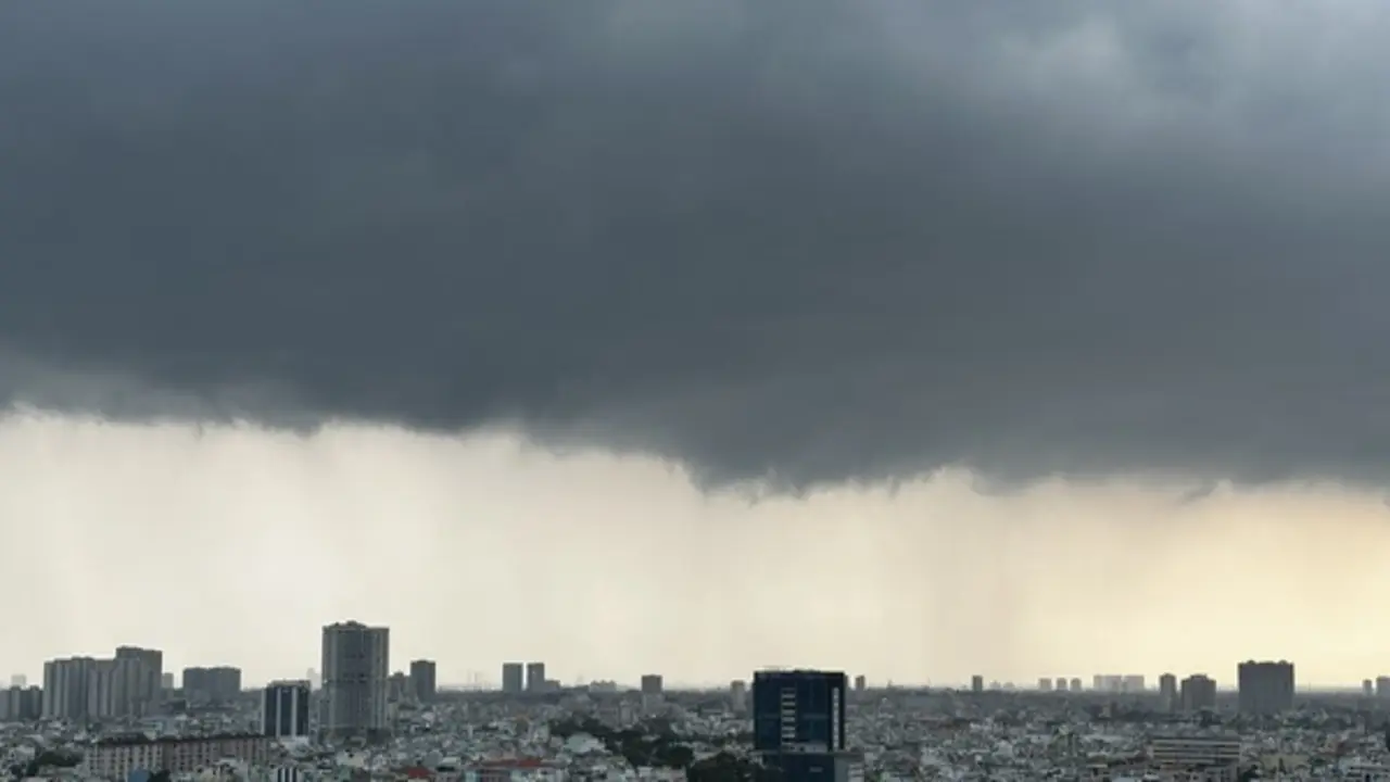 TP.HCM đã có 'mưa vàng' giải nhiệt