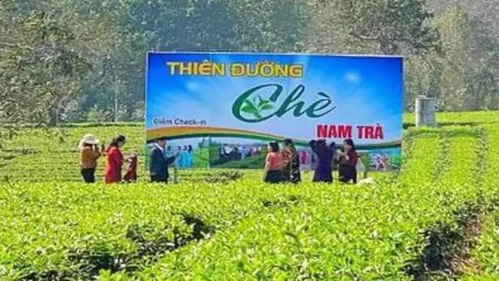Từ 'chảo lửa, túi mưa' đến nông nghiệp kết hợp du lịch trải nghiệm tại Hà Tĩnh