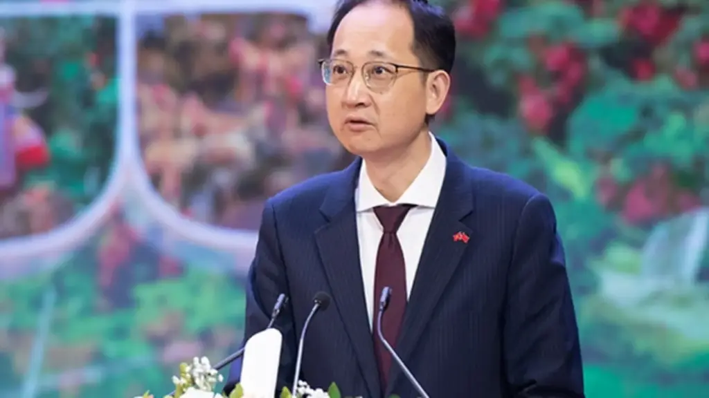 Vải thiều là 'mỹ vị nhân gian', vải Quảng Đông chưa cạnh tranh được