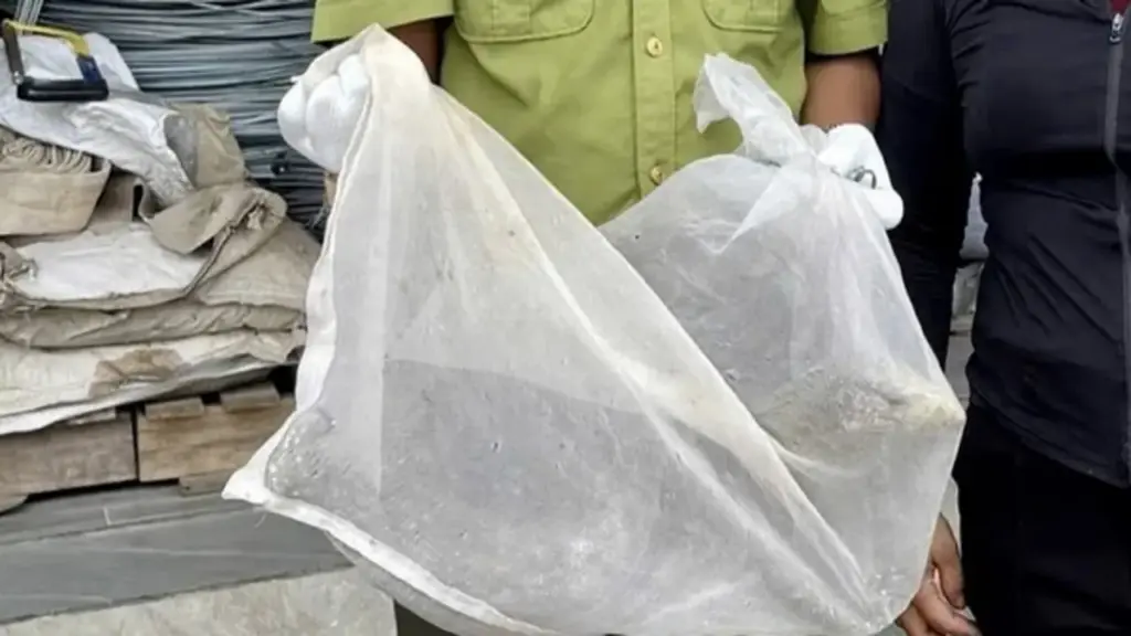 “Vị khách lạ” nặng 5kg đi lạc vào khu dân cư khiến hàng trăm người kéo tới xem