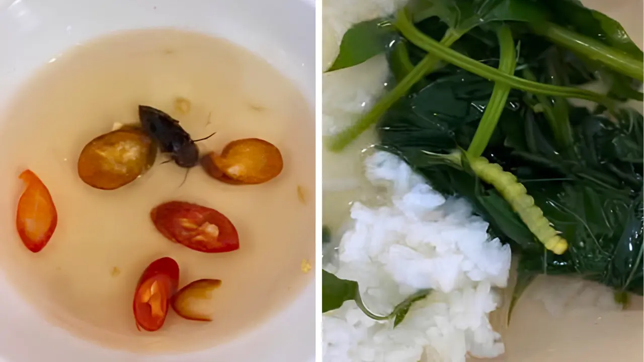 Vụ bữa ăn tập thể của sinh viên Đại học Huế nghi có gián, dòi và sâu: Cơ sở nấu ăn xin lỗi