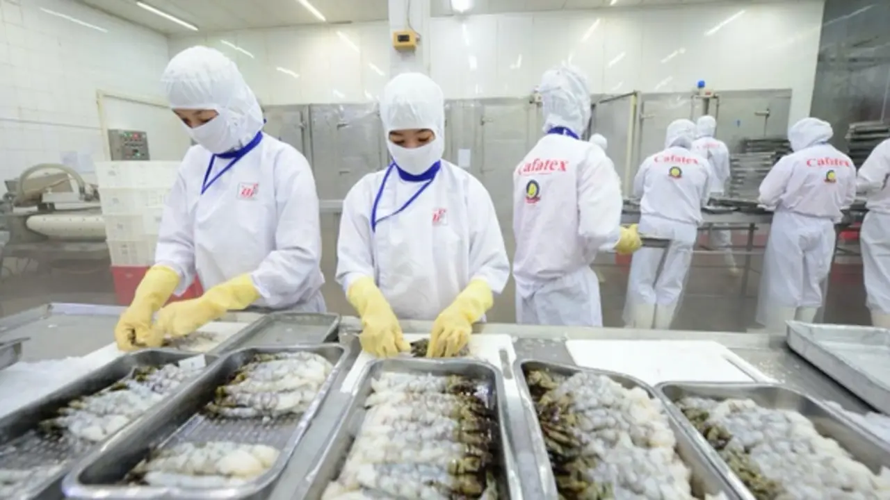 Xuất khẩu thủy sản có thể đạt kim ngạch 12 tỉ USD trong năm nay