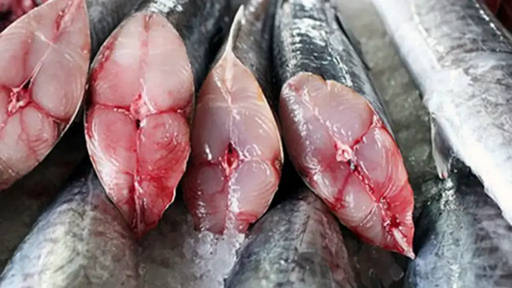 2 loại cá "dễ ngậm" thủy ngân, cái số một cực kỳ quen thuộc
