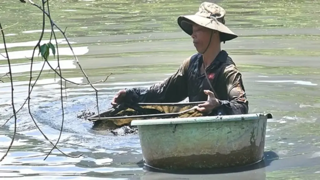 27 năm mưu sinh dưới dòng rạch đen: Chuyện người đàn ông đãi bùn tìm trùn chỉ