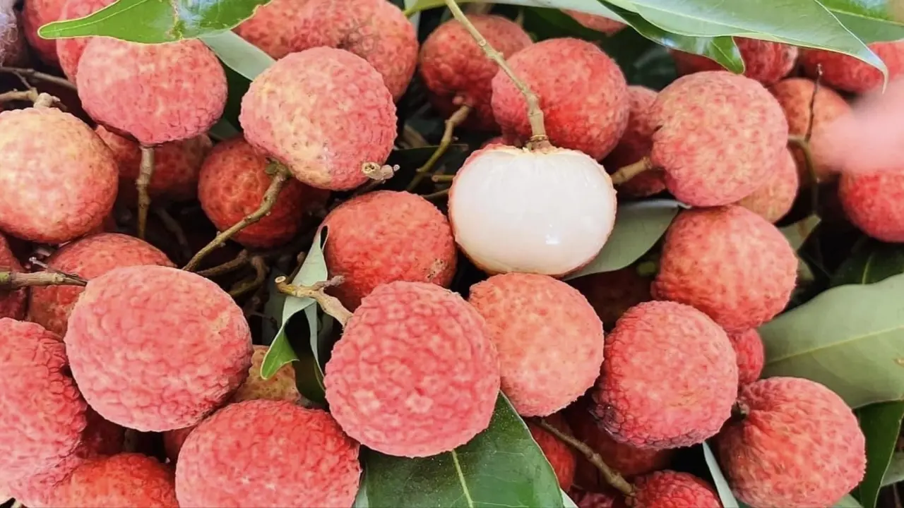 3 điều 'cấm kỵ' cần tránh khi ăn vải