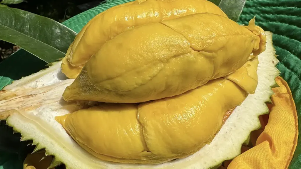 4 sai lầm ăn uống mùa hè dễ khiến tuyến tụy 'quá tải'