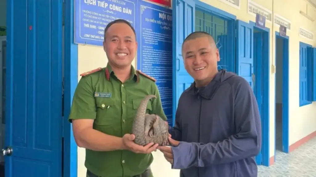 5 thanh niên ở Khánh Hòa giao nộp tê tê Java quý hiếm cho công an